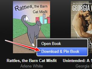 download and pin Kindle cloud reader books